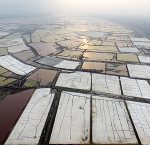 鹽池為布鹵水作畫