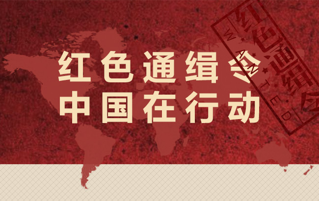 红色通缉令 中国在行动