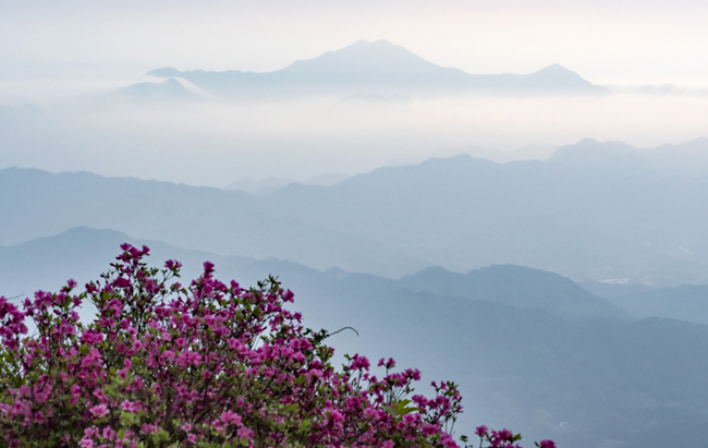 太平畈乡人口_霍山太平畈乡太平村