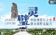 灵璧：中国观赏石之乡 磬乡田野话振兴