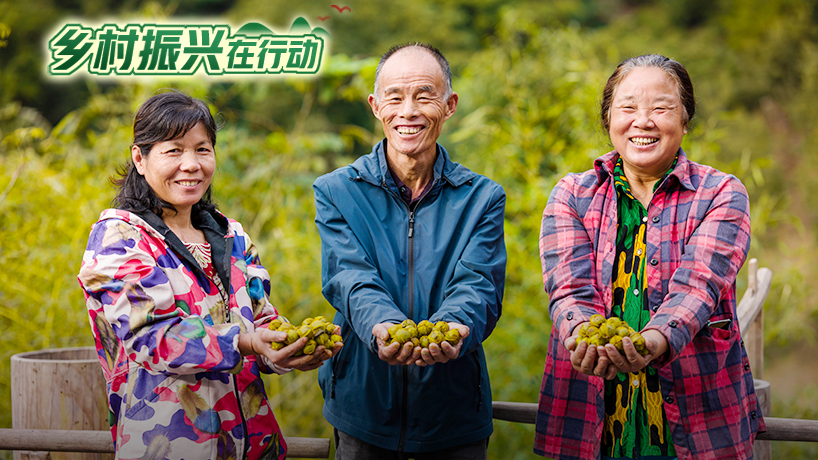 “小山变大山” 致富路更宽