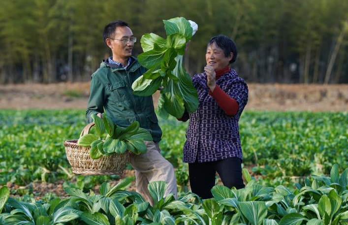 新华全媒+丨新农人的“蔬菜盲盒”生意经