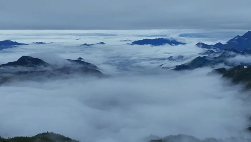 绝美！安徽九华山出现瀑布云景观